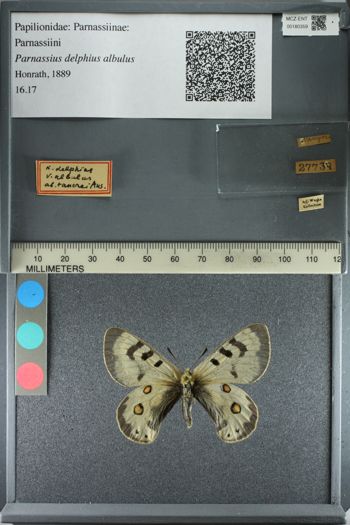 Media type: image;   Entomology 180359